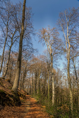 Trail Kehlen - Dondelingen