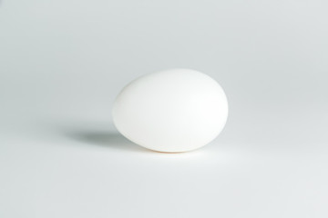 Fototapeta na wymiar chicken egg on a white background