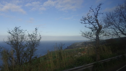 Nature of the Azores. San Miguel Island