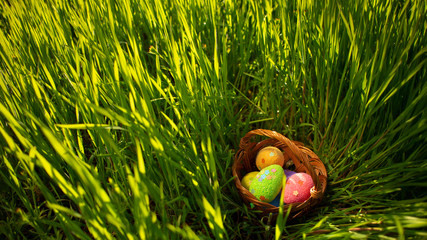 Colorful  Easter eggs hidden in the green grass. Easter egg hunt for kids. Happy easter. Springtime and beautiful sunlight on the lawn.