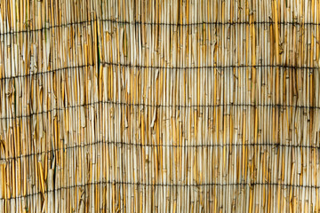 The texture of the dry reeds. Yellow reeds. A fence made of reeds; close-up; texture, background