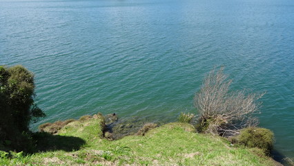 Nature of the Azores. San Miguel Island