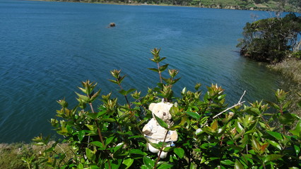 Nature of the Azores. San Miguel Island