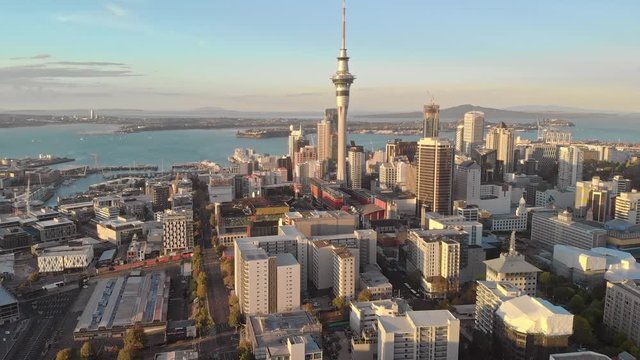 A view of Auckland City skyline from spaghetti junction