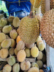 Durian