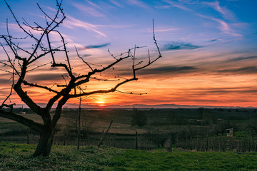 zach&oacute;d słońca