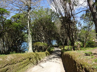 Nature of the Azores. San Miguel Island