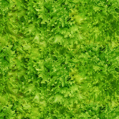 Green lettuce leaves. Seamless background