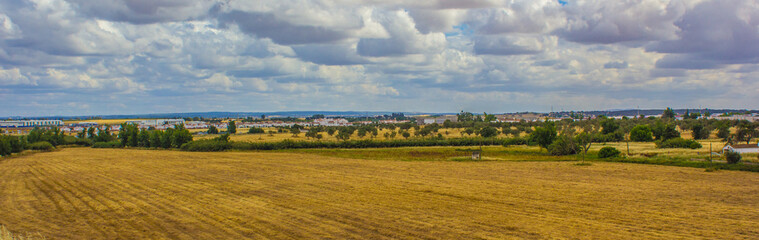 Fototapeta na wymiar Landscape of fields in Évora - Portugal