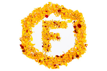 Letter F In Spring Flower Petal Hexagon. Marigold petal alphabet isolated on white background.