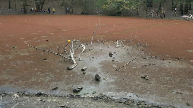 A fallen tree stuck in a red beautiful lagoon in the middle of a forest