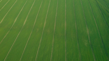 landscape with a green field and texturized tracks for farm technick