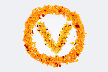 Spring Flower Letter V concept Logo. Marigold petal alphabet isolated on white background.