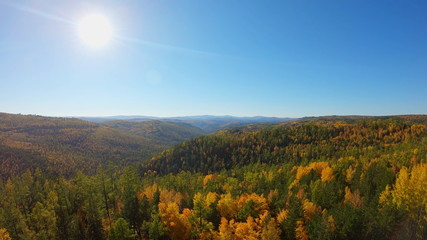 Drone flies over the beautiful colorful trees in the autumn forest. Aerial view of fall woods in sunny day