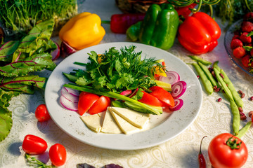 Vegetarian food, vegetables and cheese on a plate, pepper, onions, greens and tomatoes on a festive table