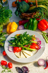 Vegetarian food, vegetables and cheese on a plate, pepper, onions, greens and tomatoes on a festive table