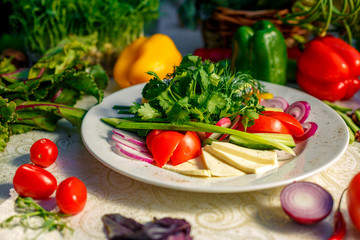 Vegetarian food, vegetables and cheese on a plate, pepper, onions, greens and tomatoes on a festive table
