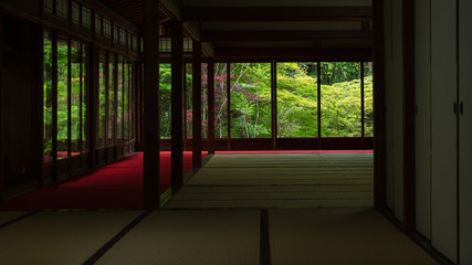 京都府 天授庵 新緑
