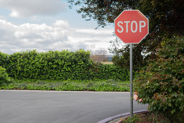 Red Stop sign on empty road 