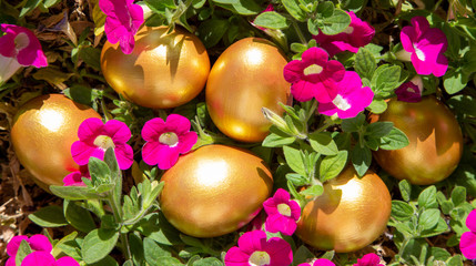 Golden easter eggs on grass with purple flowers. Celebrating spring holidays. Nature holiday background.