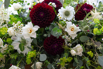 Red rose and white flower
