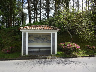 Fototapete bei efototapeten.de bestellen   