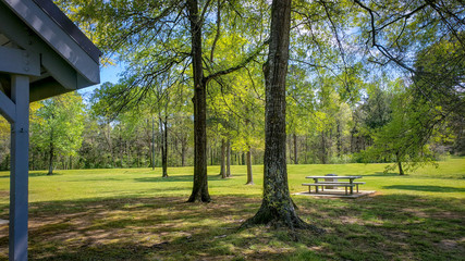 bench in the park