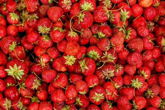 texture for the background, lots of strawberry berries. Wallpaper