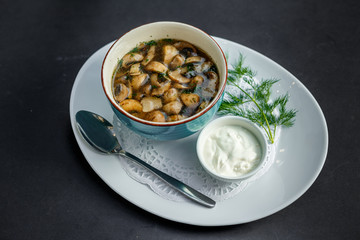 mushroom soup with sauce on a white plate