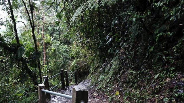 Man in blue raincoat walking throw jungle forest in Mindo, Ecuador