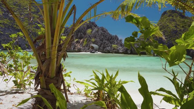 Palm leaves moved by ocean breeze on star beach paradise like nature in Tapiutan Island, El Nido, Palawan, Philippines. Tour C route