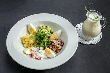 Ingredients for Russian Cooking Okroshka