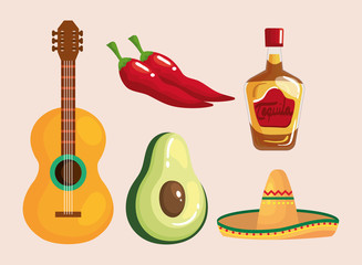 Mexican tequila bottle hat avocado guitar and chillis design, Mexico culture tourism landmark latin and party theme Vector illustration