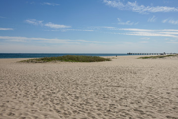 sand dunes and ocean