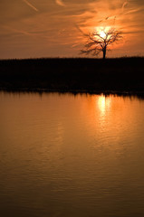Fototapeta na wymiar Twilight hues fill the sky and reflect off the surface of a peaceful Midwest prairie wetland.