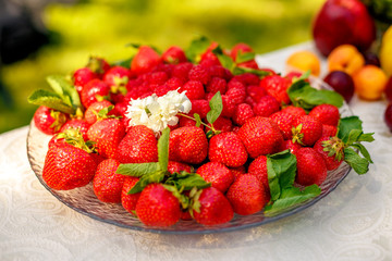 picnic for love of wine and fruit in nature