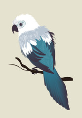 Vector illustration of bird - parrot. Flat style design.ai