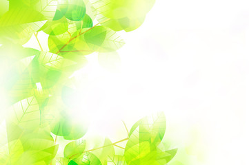 新緑のイラスト Wall Mural Background Background Wallpaper Murals ヨーグル