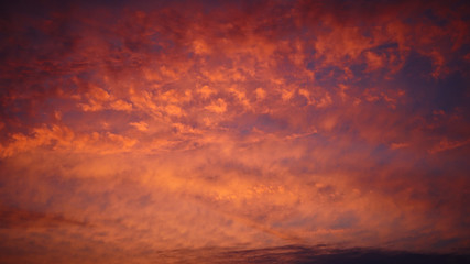 Pink clouds in the sunset