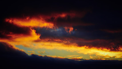 Birds flying south. Flock of birds. Sunset.