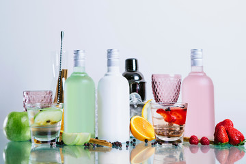 Sets of gins of various flavors accompanied by tonic fruits for cocktail preparation. space for text