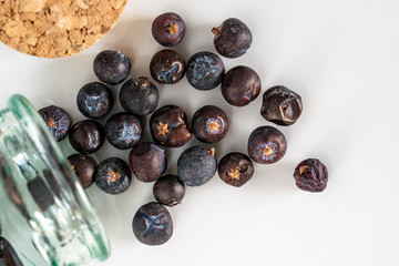 Juniper spread from jar to table
