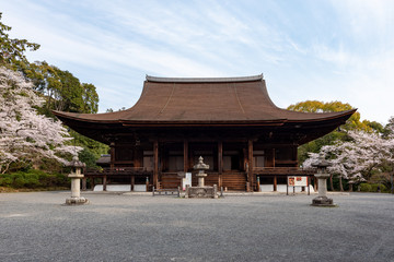 滋賀 三井寺