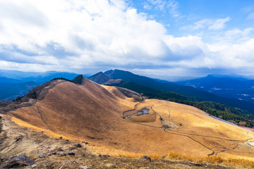 黄金色に染まるススキの絨毯