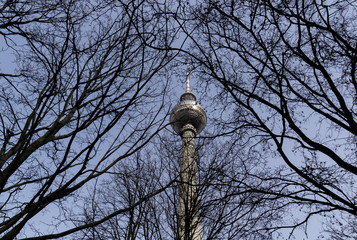 Berliner Fernsehturm hinter Bäumen © grobborg