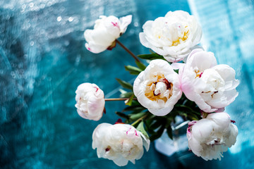 Bouquet of fresh white peonies in vase on a blue table with shadows from the jalousie.