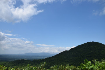 Naklejka premium 夏の山