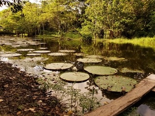 laguna amazonas colombia