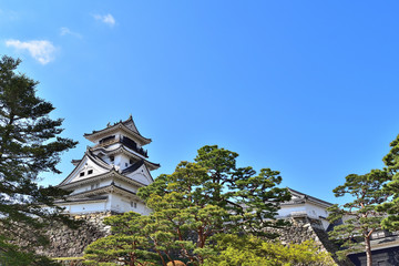 日本１００名城　春の高知城
