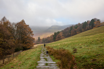 Mountains, Fields and Forests, Edale, Peak District, England, UK